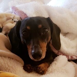 Meet your Posher, Raelee